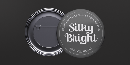 Skinno Font Poster 6