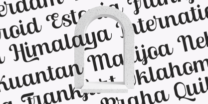 Skinno Font Poster 7