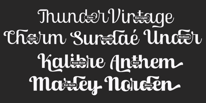 Skinno Font Poster 2