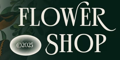 Aberoz Font Poster 6