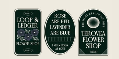 Aberoz Font Poster 5