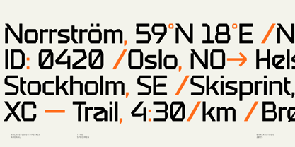 Arenal Font Poster 6