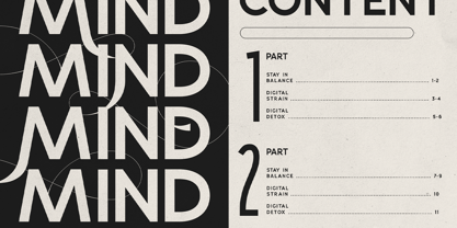 Gorga S VF Font Poster 11