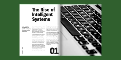 Gavion Font Poster 8