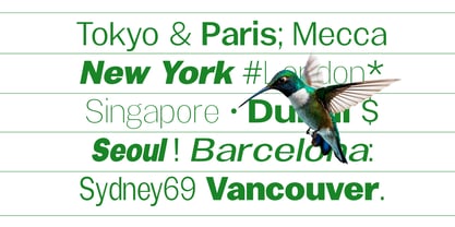 Gavion Font Poster 3