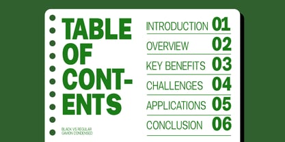 Gavion Font Poster 9