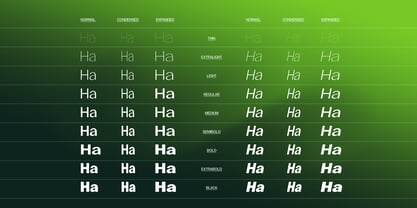 Gavion Font Poster 5