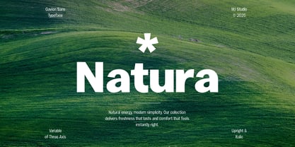 Gavion Font Poster 15