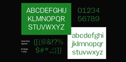 Gavion Font Poster 4