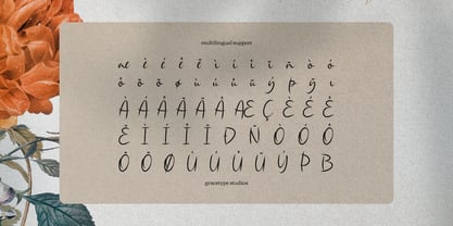 Single Whimney Font Poster 11