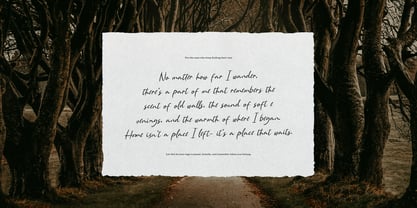 Single Whimney Font Poster 2