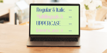 Varkes Font Poster 8