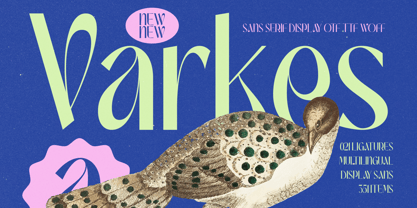 Varkes Font Poster 1