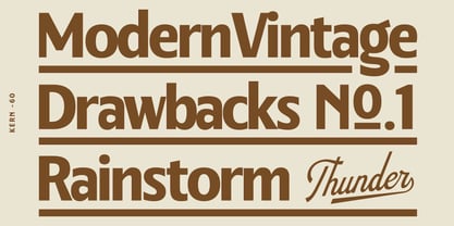 Wellsville Font Poster 14