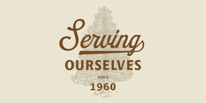Wellsville Font Poster 15