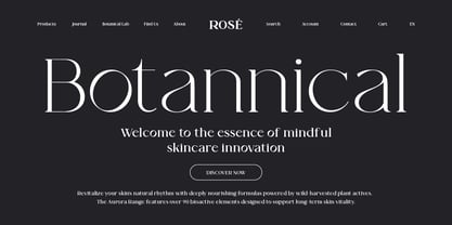 Valore Font Poster 10