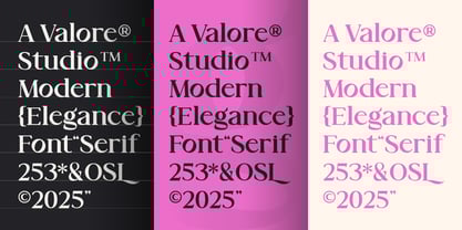 Valore Font Poster 4