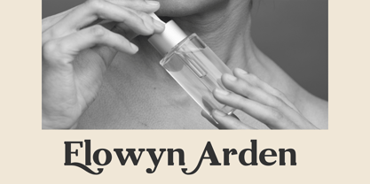 Desrige Font Poster 5