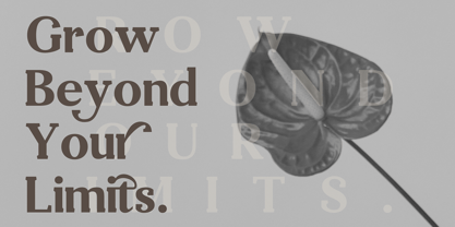 Desrige Font Poster 9