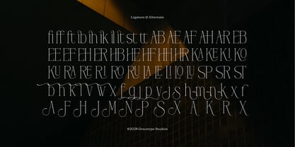 Hustasea Font Poster 12