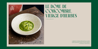 TRT Pachel Font Poster 9