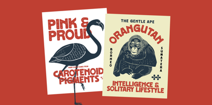 Monta Grande Font Poster 3