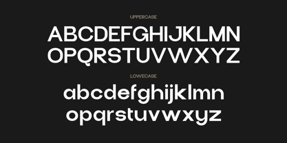 Pasbile Font Poster 3