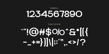 Pasbile Font Poster 4