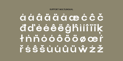 Pasbile Font Poster 6