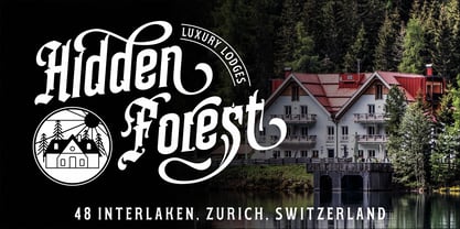 Dareston Font Poster 7