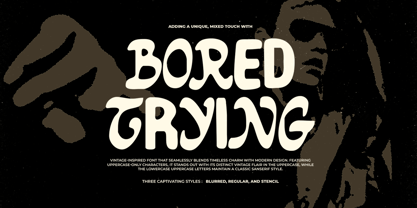 Bored Trying Font Poster 1