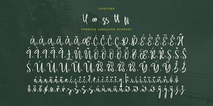 Massipak Font Poster 11
