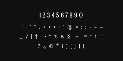 Anthology Paradise Font Poster 11