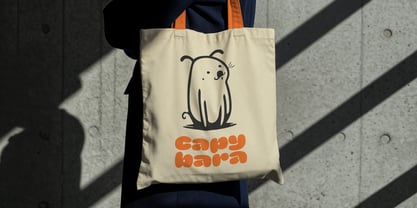 Rownet Font Poster 7