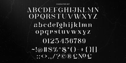 Meylda Font Poster 9