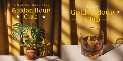 Bloomite Font Poster 6