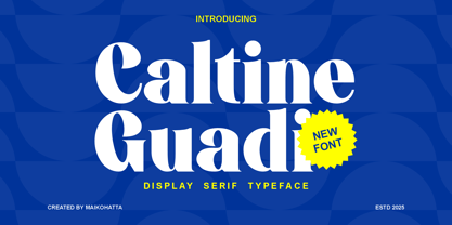 Caltine Guadi Font Poster 1