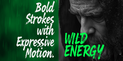 Elanova Brush Font Poster 3