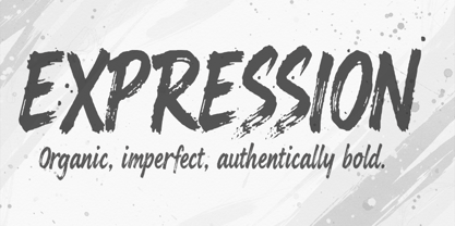 Elanova Brush Font Poster 6