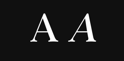 Golden Heritage Font Poster 11