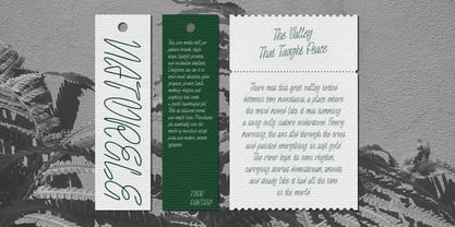 ATP Mono Lanes Font Poster 8