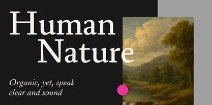 Daisler Font Poster 4