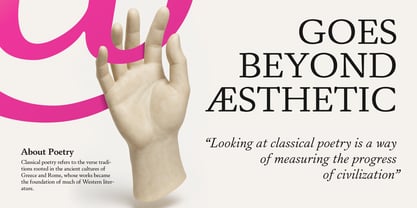 Daisler Font Poster 8