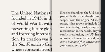 Daisler Font Poster 6