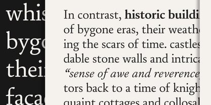 Daisler Font Poster 5