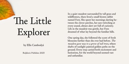 Daisler Font Poster 10