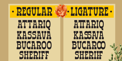 Rustem Font Poster 4