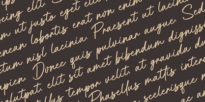 Aittemia Seikage Font Poster 2