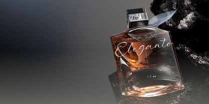 Meravielle Font Poster 11