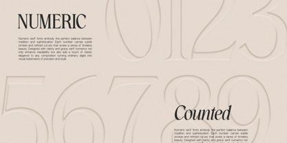 GC Amore Promised Font Poster 13
